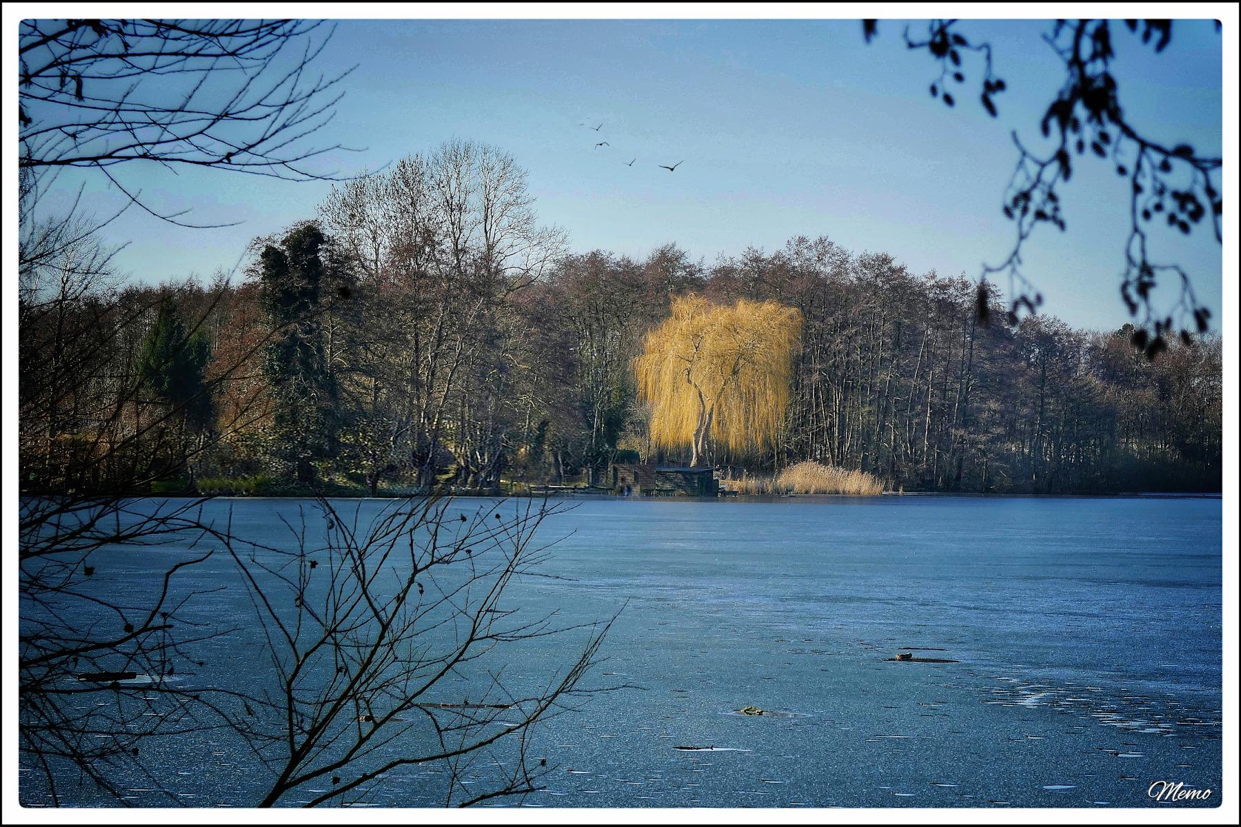 Bildbeschreibung: 
Blick auf den noch mit Eis bedeckten Ostorfer See.