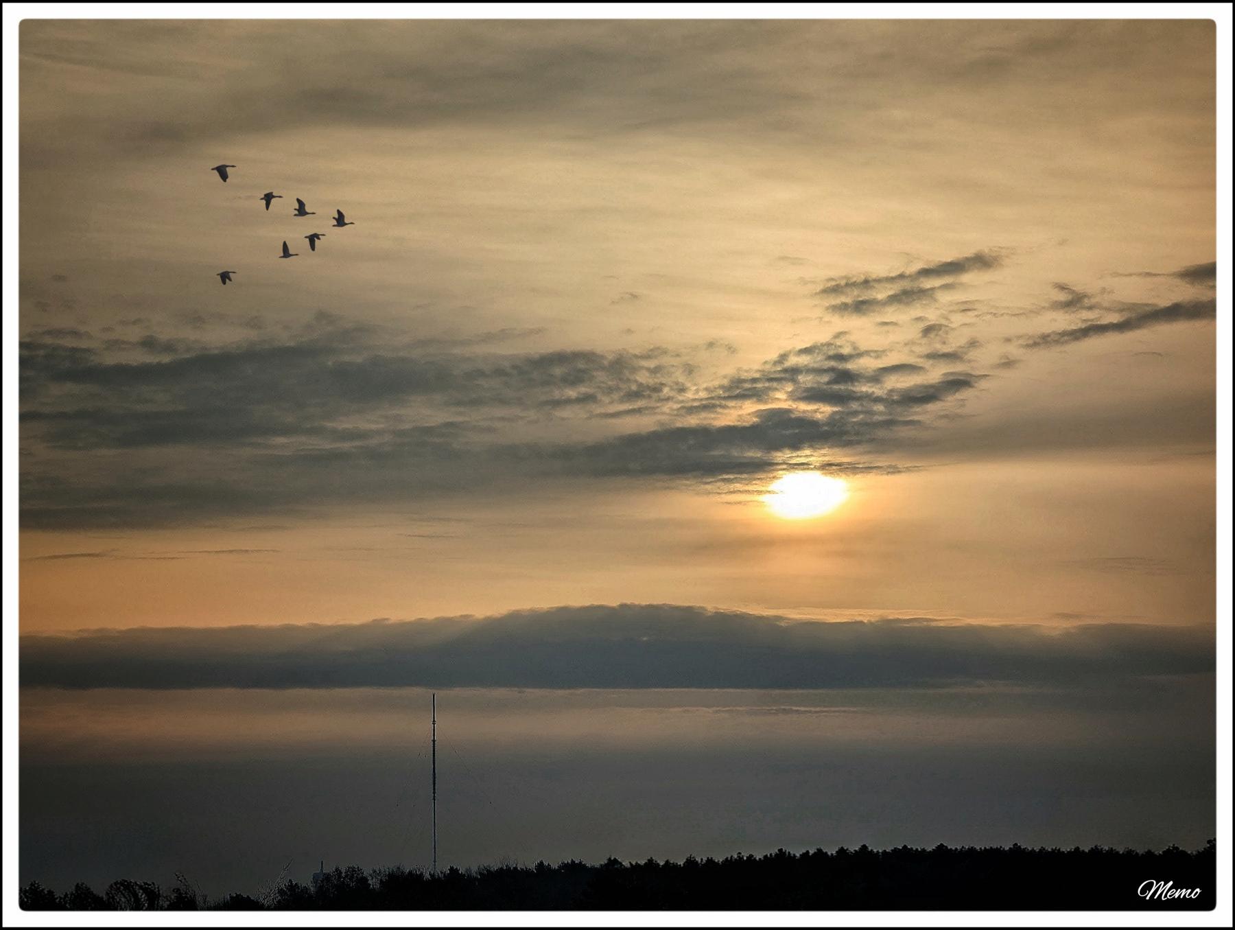 Bildbeschreibung: 
Die Sonne und einige Gänse am graugelben Morgenhimmel. Unten im Bild sind der Funkturm, und, wenn man genau hinschaut, links daneben noch ein Stück des Schweriner Fernsehturms zu sehen.