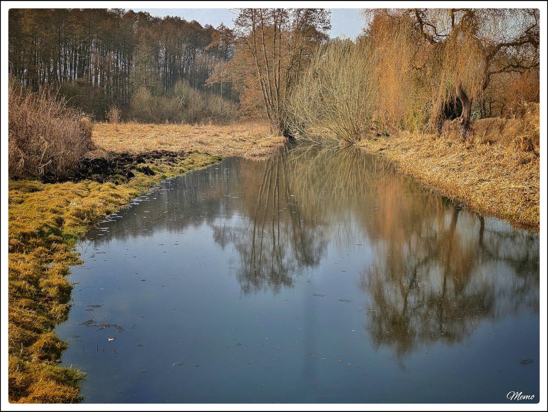 Bildbeschreibung: 
Blick auf den Oberlauf des Krebsbaches.